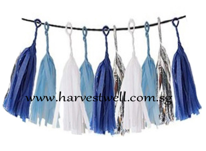 Blue Themed Tassel Garland